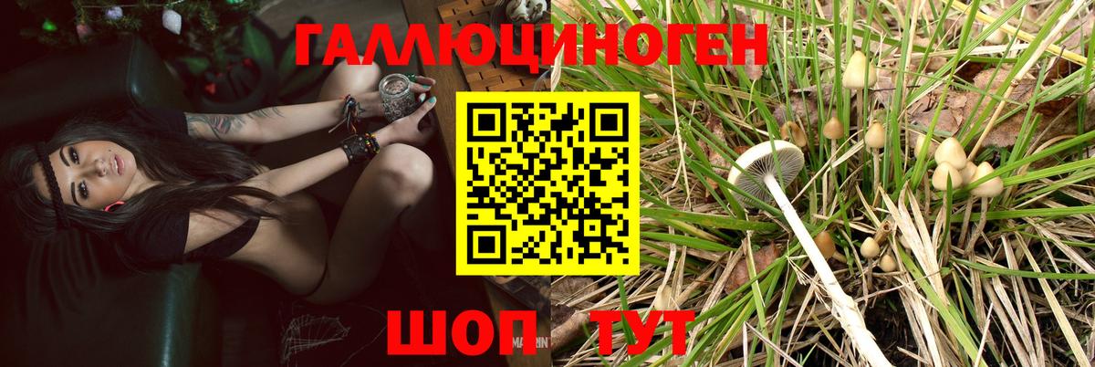 Псилоцибиновые грибы Magic Shrooms  Псилоцибиновые грибы Magic Shrooms  Вход с VPN  Сарапул 